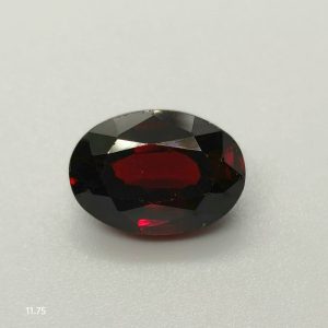 11.75 ct Garnet