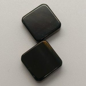 Rare Black Tiger Pair